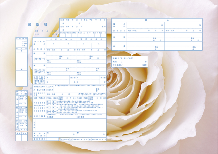 White Rose
